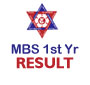 Tribhuvan University MBS First Year Results 