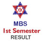 TU MBS 1st Semester Examination Results published